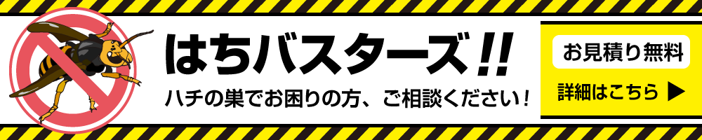 はちバスターズにおまかせください。